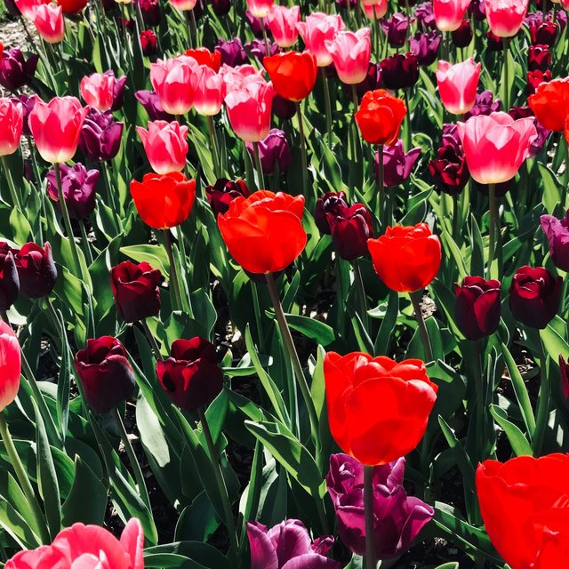 April in Twenty One