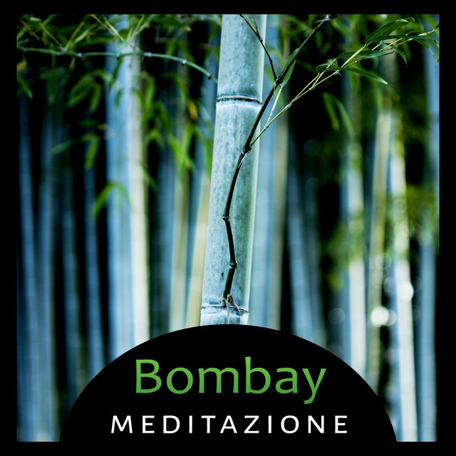 Bombay meditazione - Raccolta di musica orientale, Rilassanti suoni della natura, Energia di meditazione della guarigione