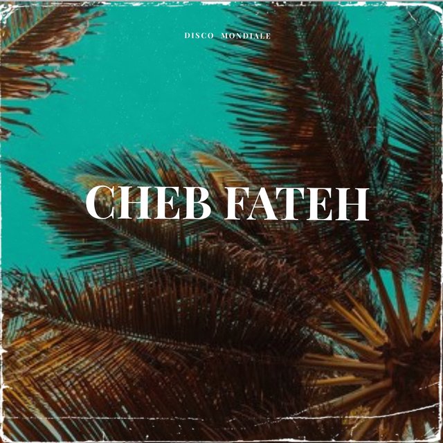 Cheb Fateh Collection