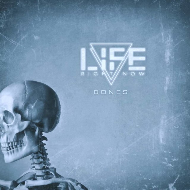 Bones
