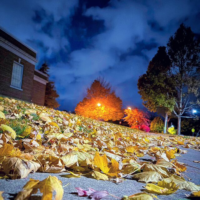 Halloween