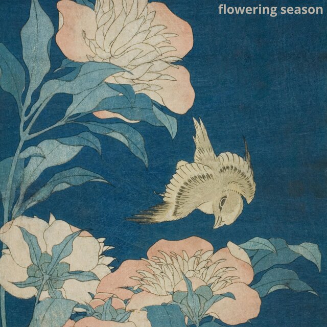 flowering season