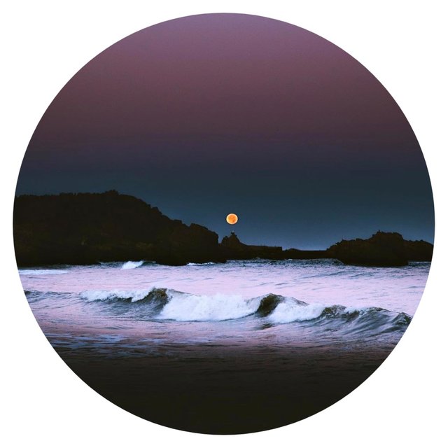 Untitled 6