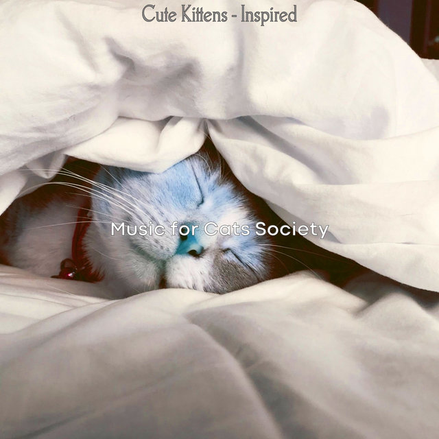 Cute Kittens - Inspired