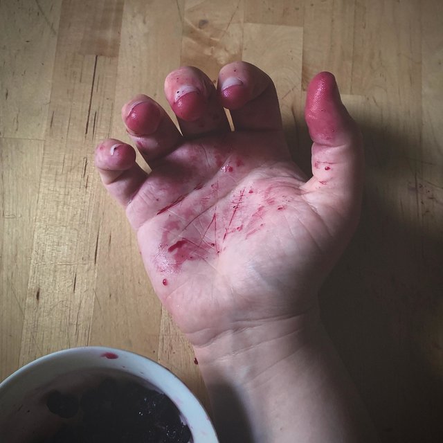 Blueberry Hands