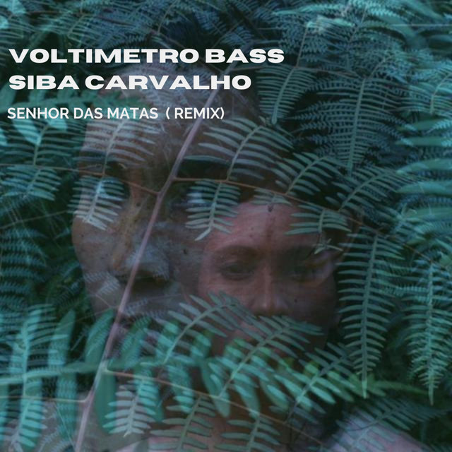 Senhor das Matas  (Remix)