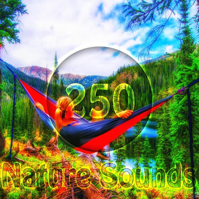 250 Epic Nature Sounds, for Relaxation, Meditation, Deep Sleep, Natural White Noise, Ocean Waves, Waterfall ,Birds, Water, Rain, Thunder Storm