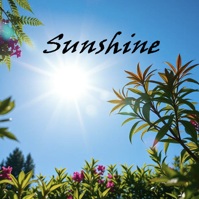 Sunshine