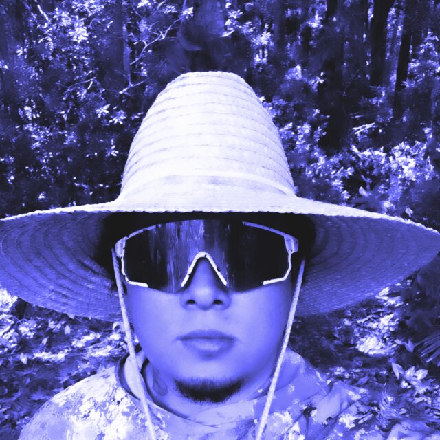 LAWN