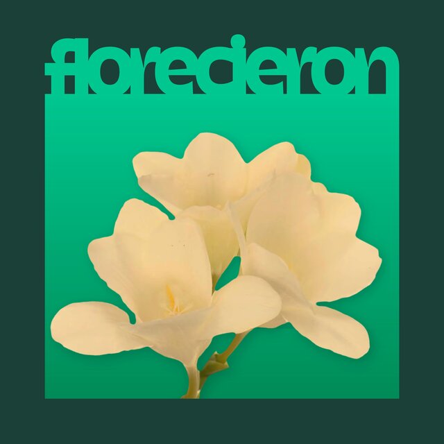 florecieron