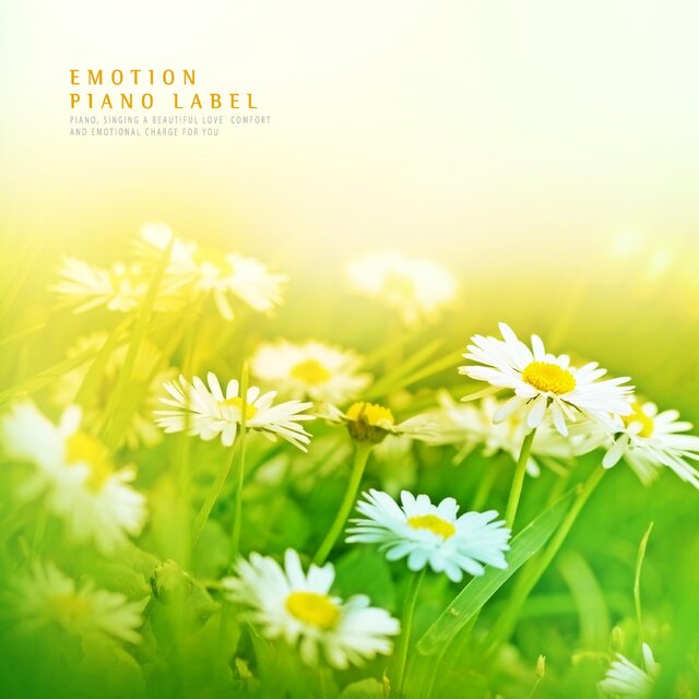 A Warm And Cozy Melodic Piano A Collection Of Deep Sleep