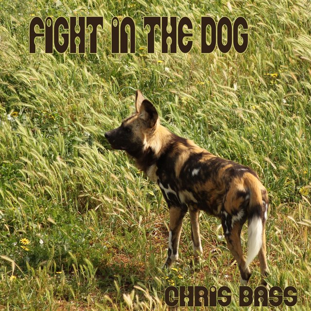 Fight in the Dog (Maxi-Single)