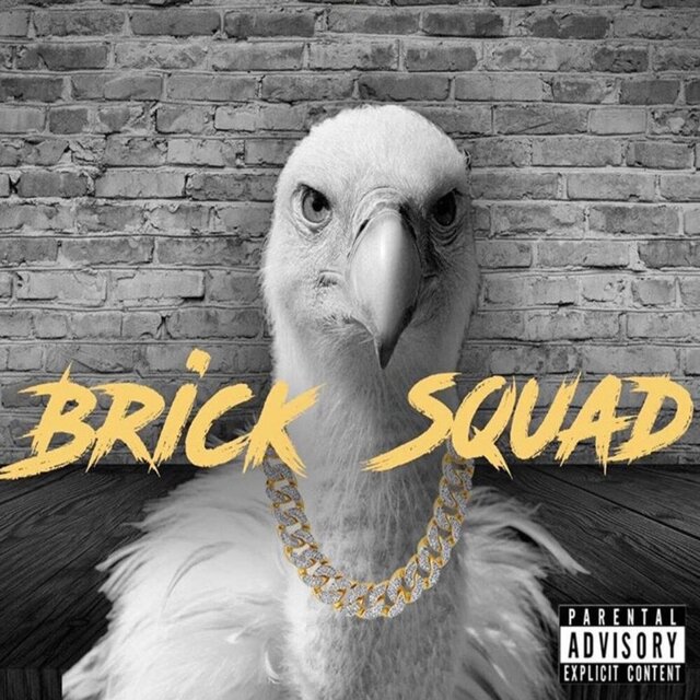 Brick Squad