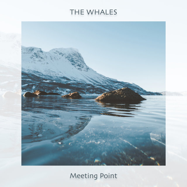 Meeting Point