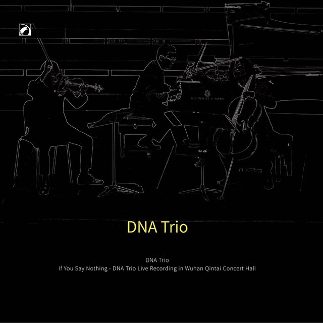 If You Say Nothing (DNA Trio Live Recording in Wuhan Qintai Concert Hall)