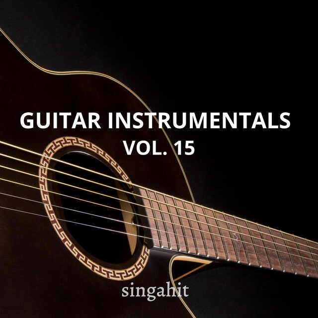 Guitar Acoustic Instrumental, Vol. 15