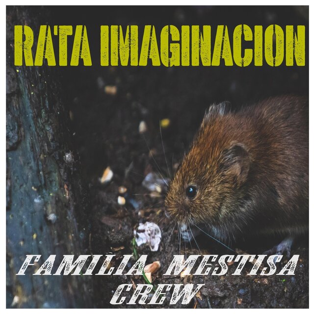 Rata Imaginacion