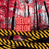 Selok Belok