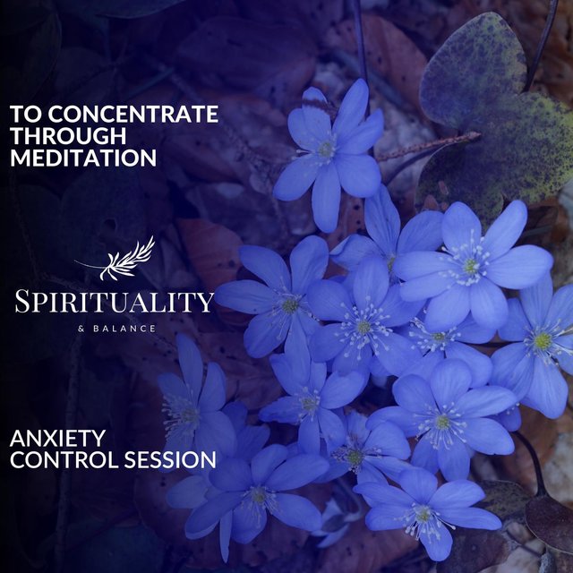 To Concentrate Through Meditation - Anxiety Control Session