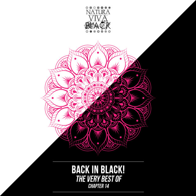 Back in Black! (The Very Best Of) Chapter 14