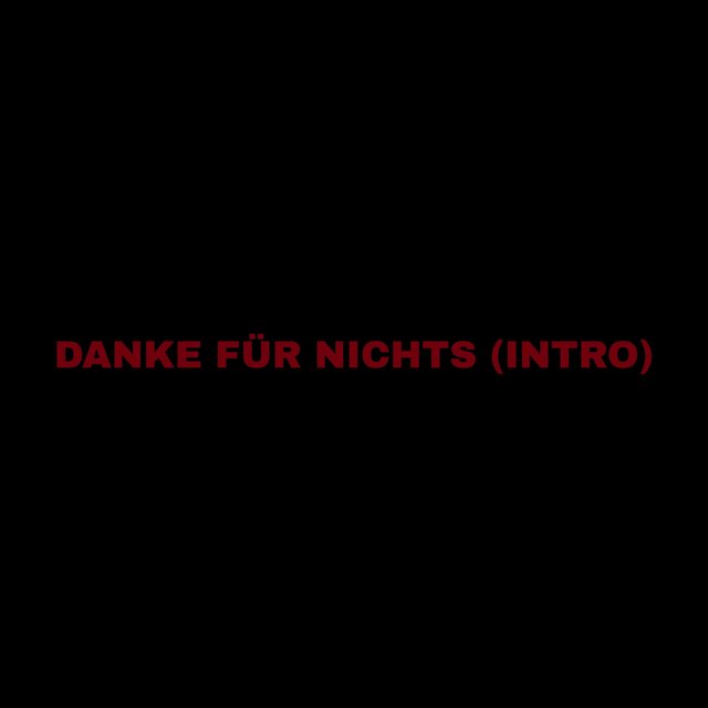 DANKE FÜR NICHTS (INTRO)