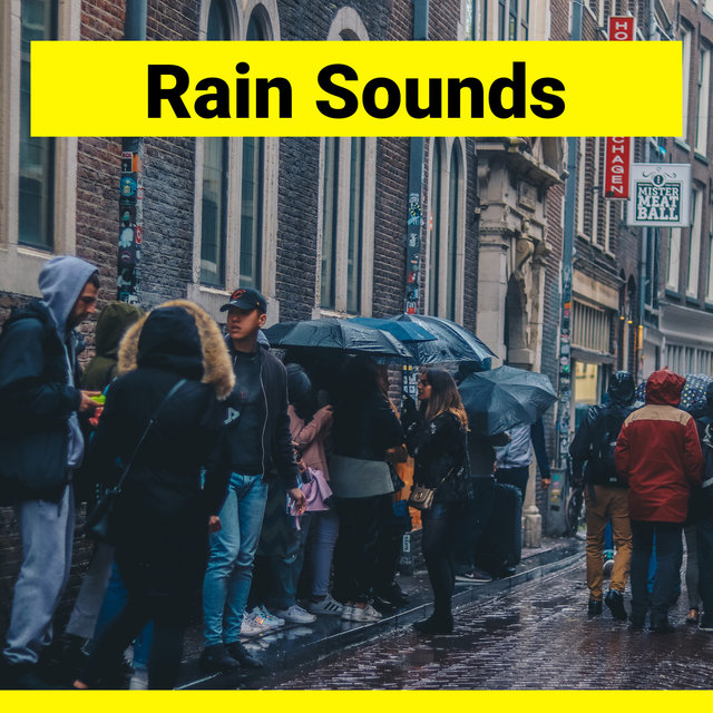 Rain in Amsterdam