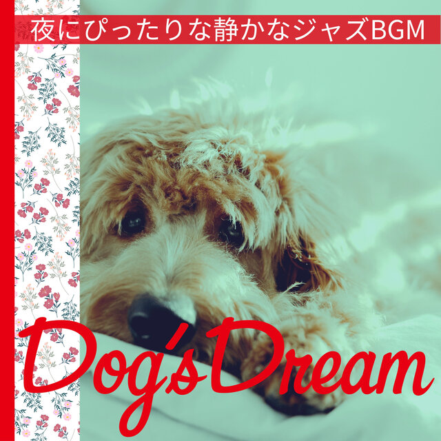 夜にぴったりな静かなジャズBGM