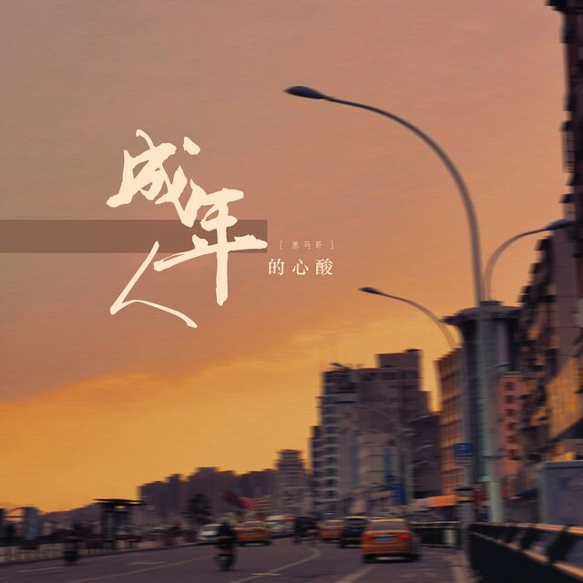 成年人的心酸