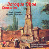 Oboe Concerto in D Minor, S. Z799: I. Andante e spiccato