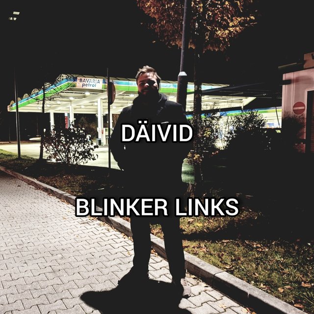 Blinker links