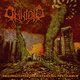 Cover art for album Regurgitated Inexistential Pestilence by Omnioid