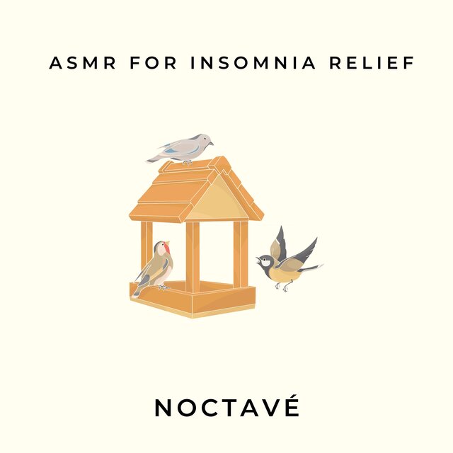 ASMR for Insomnia Relief