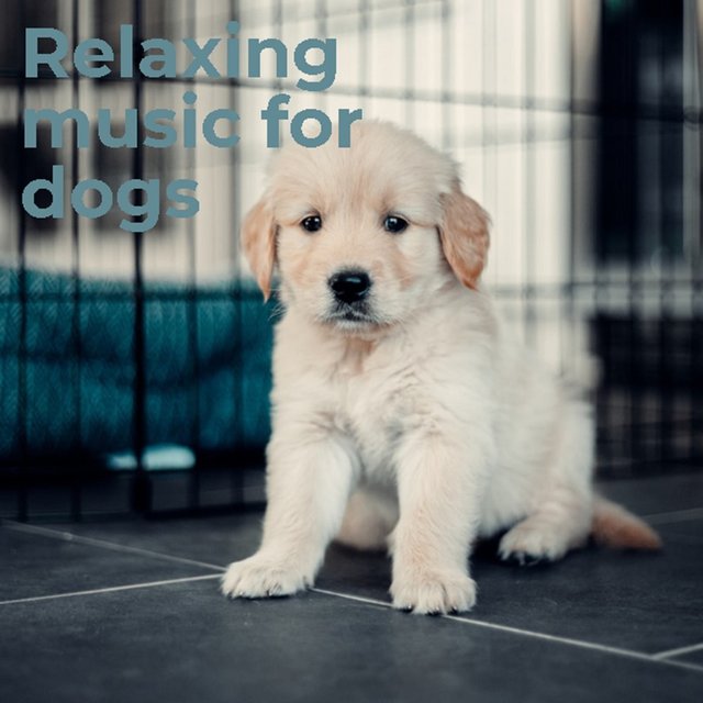 Relaxing Music for Dogs