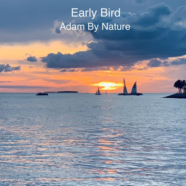 Early Bird