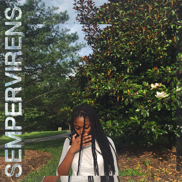 Sempervirens