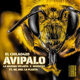 Avipalo