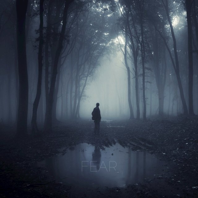 Fear