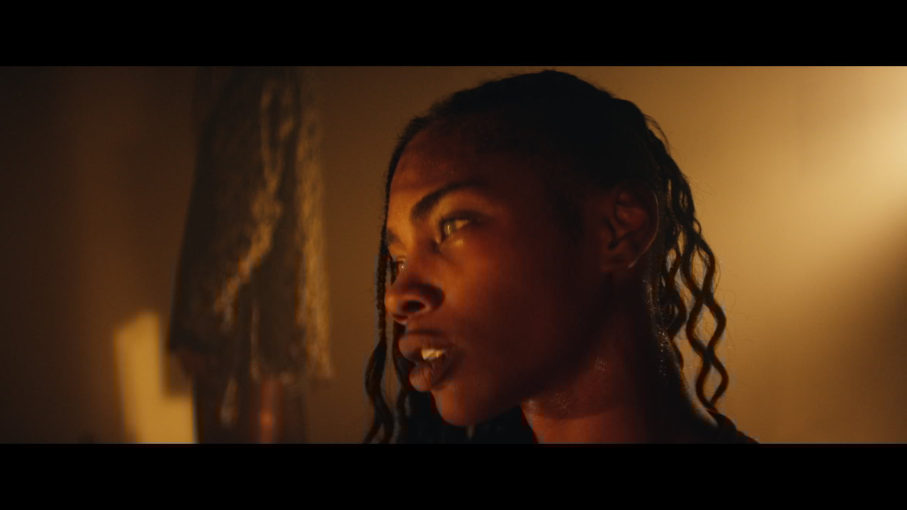 Bun Up the Dance (Video)