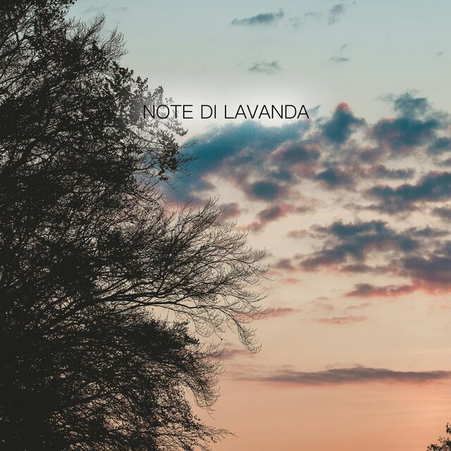 Note di lavanda