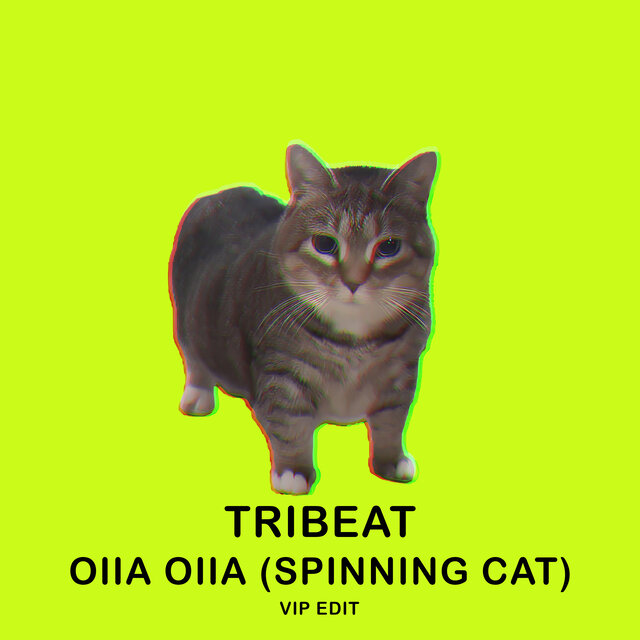 OIIA OIIA (Spinning Cat) [VIP EDIT]