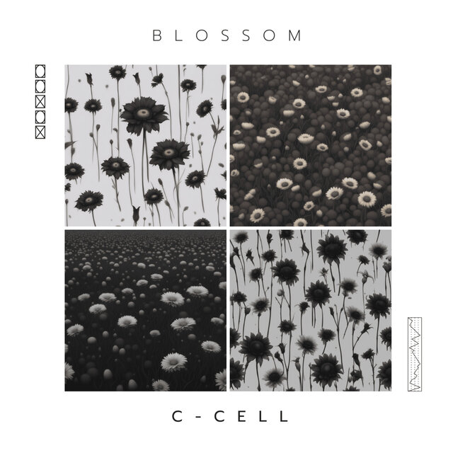 Blossom