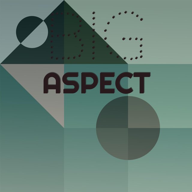 Big Aspect