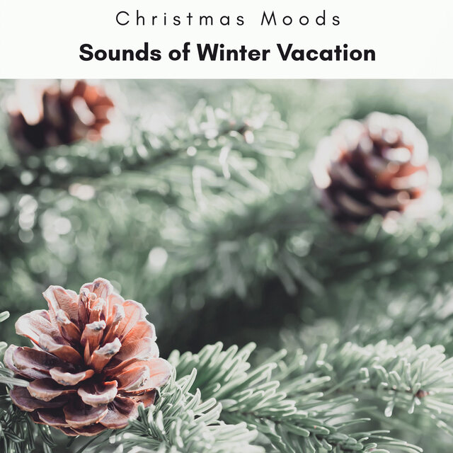 4 Peace: Sounds of Winter Vacation