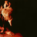 The Occupant