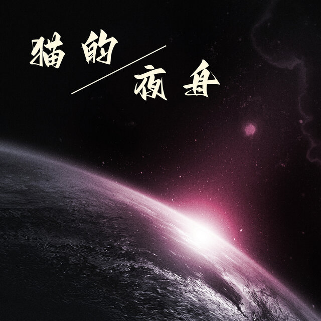 猫的夜舟