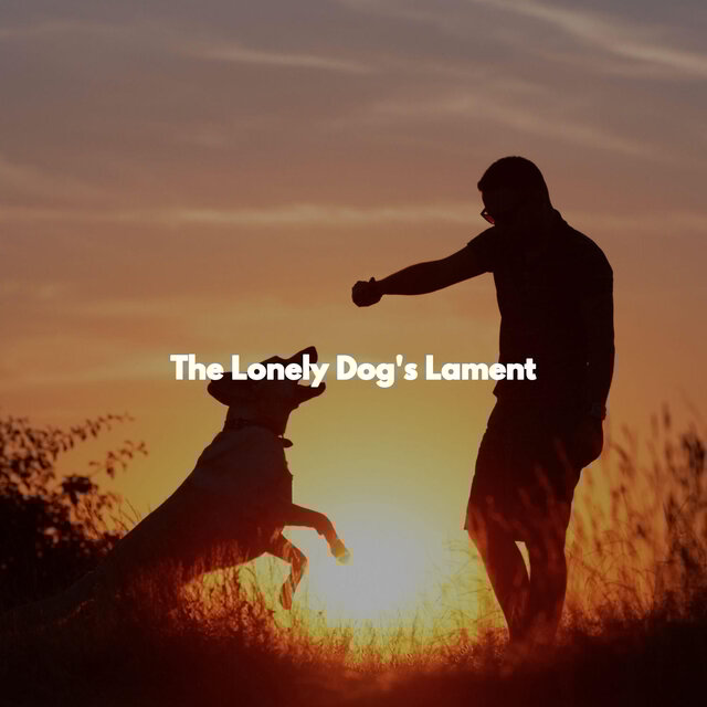 The Lonely Dog's Lament