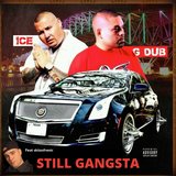 Still Gangster
