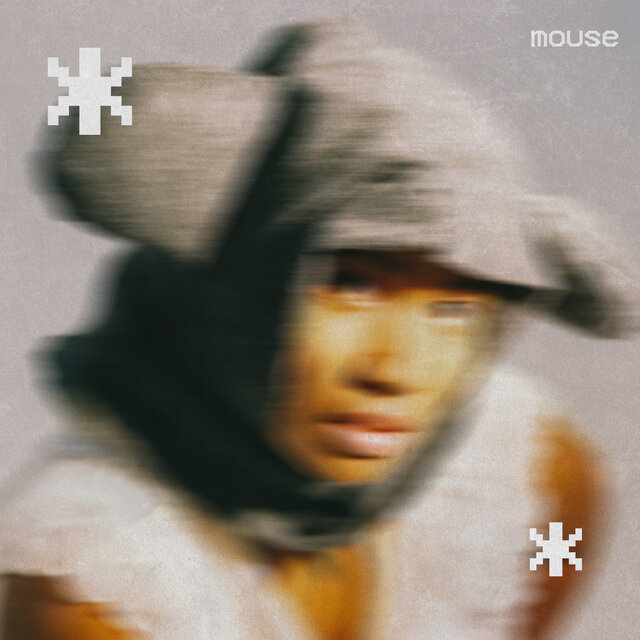 mouse