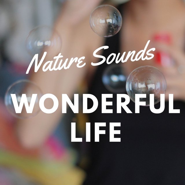 Wonderful Life - Nature Sounds for Deep Meditatation and Relaxation, Positive New Age Sounds, Be Happy, Relaxing Music