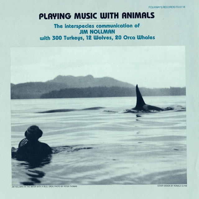 Cover art for album Playing Music with Animals by Jim Nollman